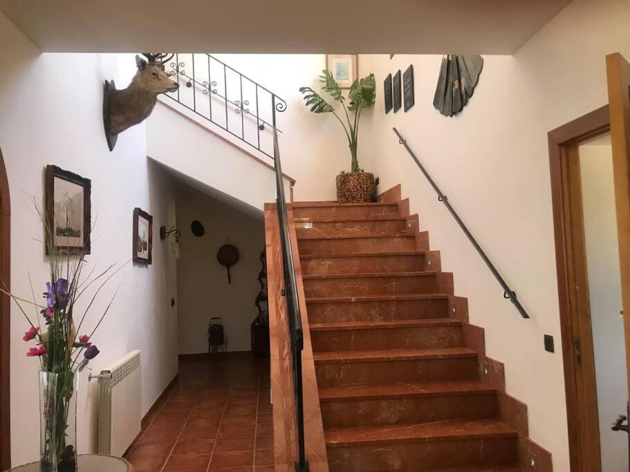 Villa Miramar Sant Llorenc Des Cardassar Kültér fotó